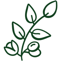 fleur