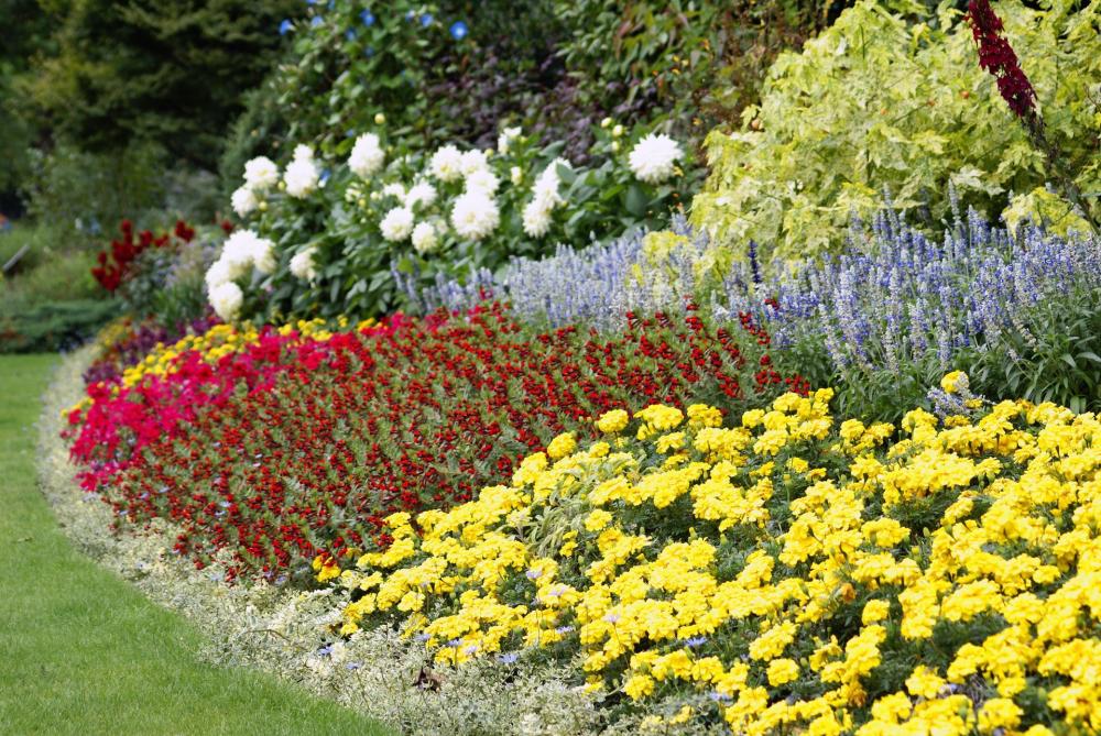 fleurs